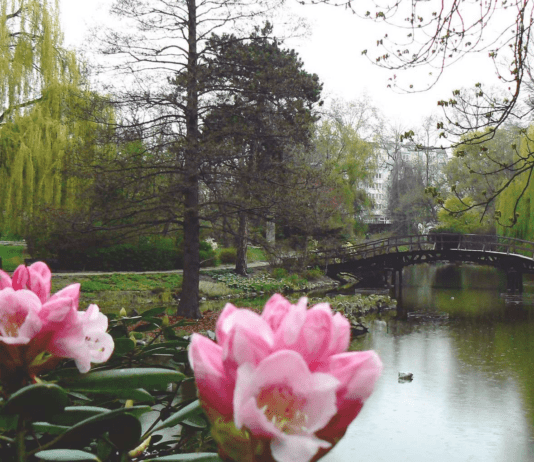 Kto podarował Wrocławiowi Ogród Botaniczny?
