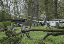 Вроцлавский Zoo — история самого старого в Польше зоопарка