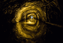 Природні ресурси нижньосілезького регіону