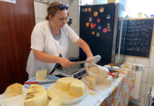 Wrocławskie ekofarmy — inwestycja w zdrową przyszłość