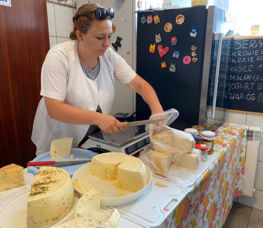 Wrocławskie ekofarmy — inwestycja w zdrową przyszłość