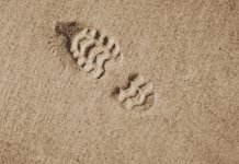 Innowacje zmniejszające ślad węglowy na Dolnym Śląsku