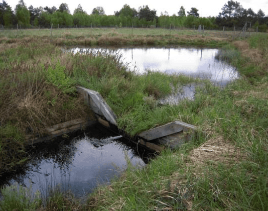 Walka ze zmianami klimatu na Dolnym Śląsku