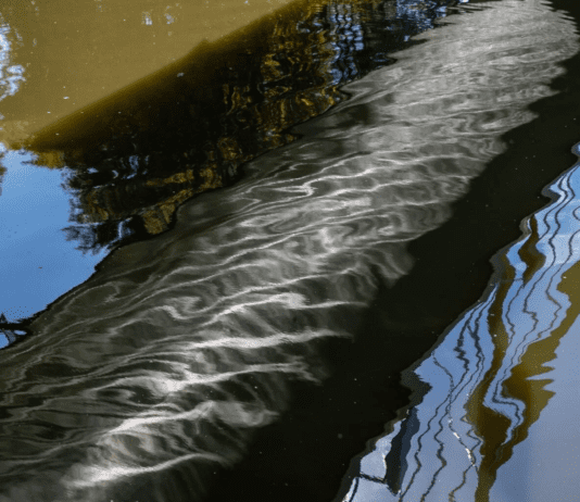 Забруднення Одри та методи боротьби з ним