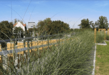 Zielone ściany i dachy we Wrocławiu