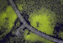 Zielona turystyka na Dolnym Śląsku