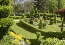 Wdrażanie zagranicznych zielonych trendów we Wrocławiu