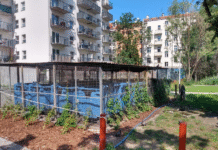 Projekt Grow Green: infrastruktura oparta na naturze