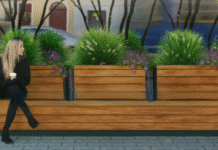 Зелені зупинки у Вроцлаві: як жива тканина витісняє бетон