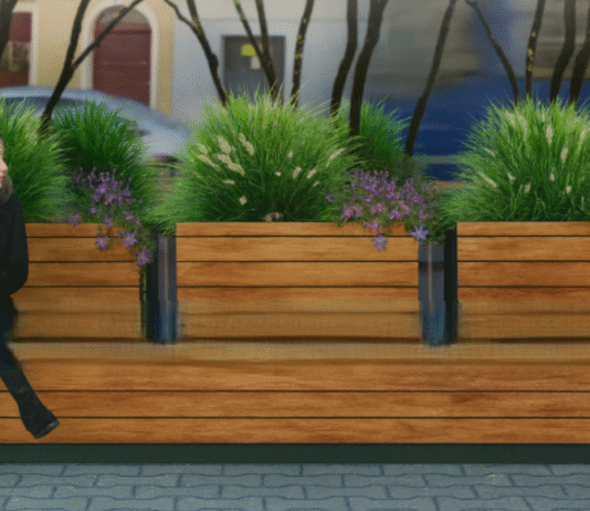 Zielone przystanki we Wrocławiu: jak żywa tkanka wypiera beton