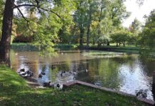 Park Brochowski (Броховский парк)