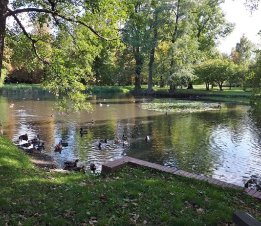 Park Brochowski