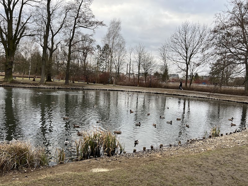 Park Brochowski