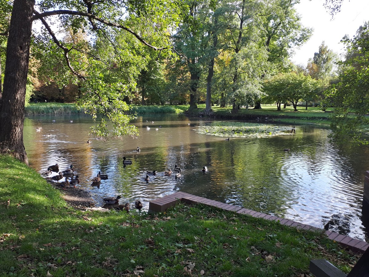 Park Brochowski (Броховський парк) — Park