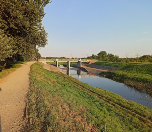 Park Grabiszyński