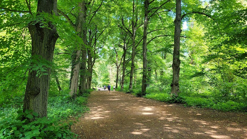 Park Grabiszyński