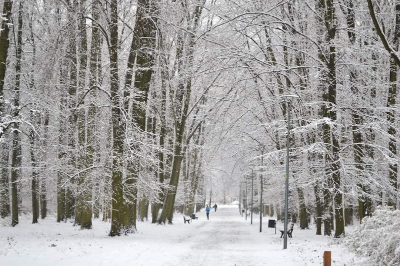 Park Grabiszyński