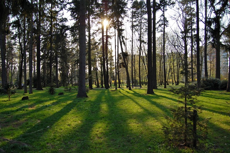 Park Grabiszyński