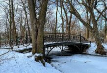 Park Południowy