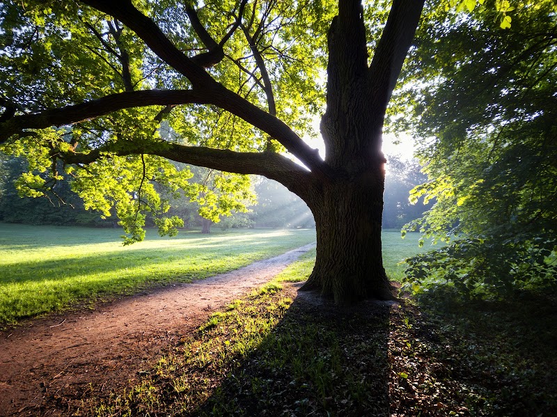 Park Południowy