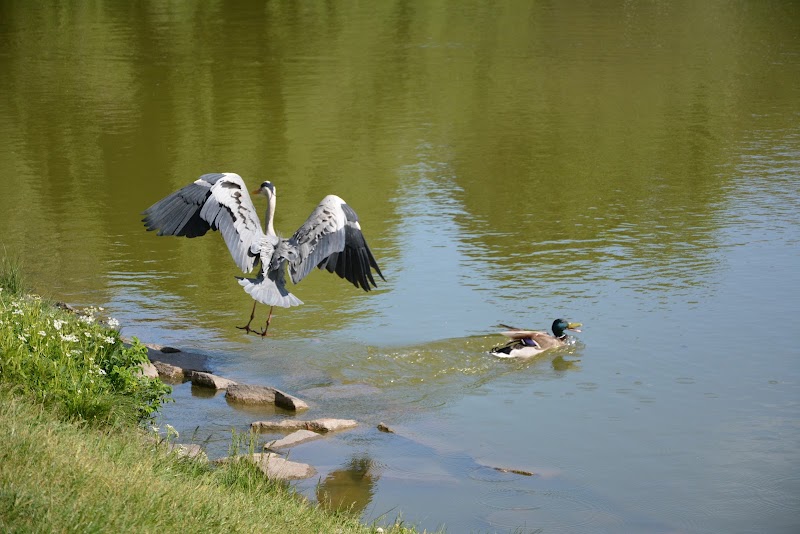 Park Stanisława Tołpy