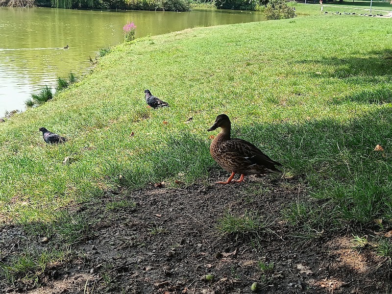 Park Stanisława Tołpy