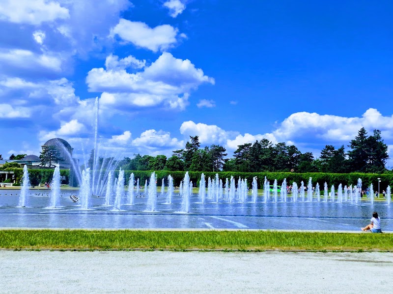 Park Szczytnicki