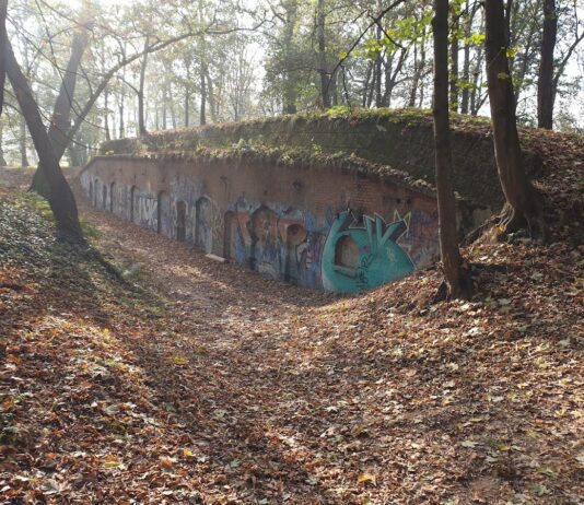 Park Zachodni (Западный парк)