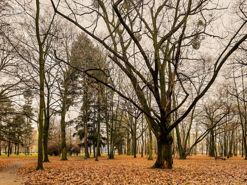 Park Zachodni