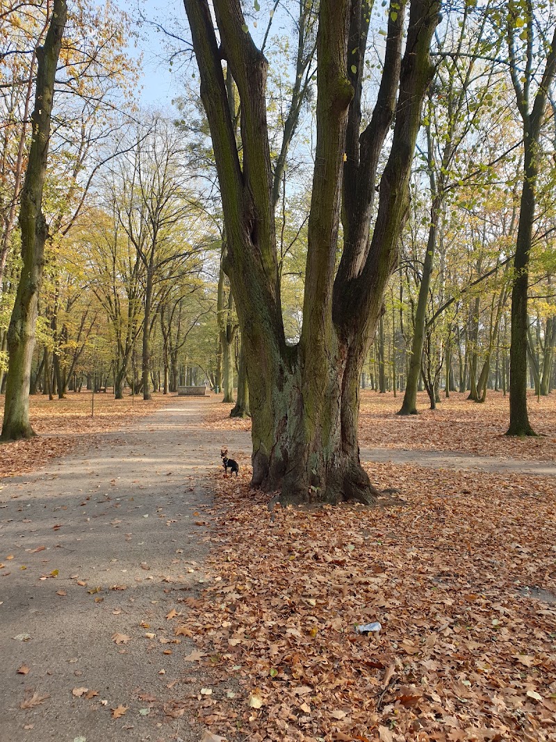 Park Zachodni